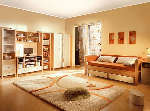 Какую мебель лучше всего выбрать для вашего дома?